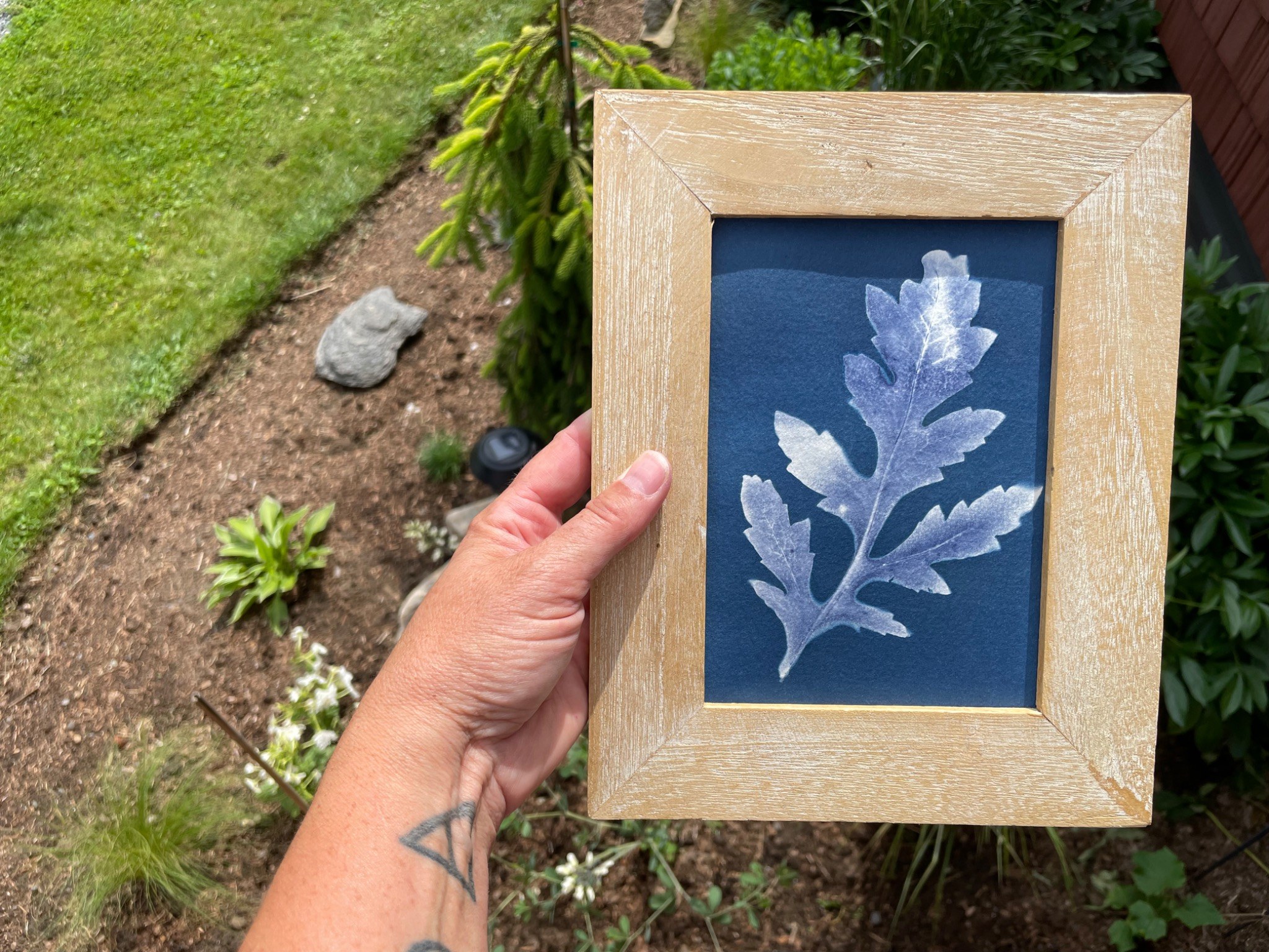A handmade botanical cyanotype