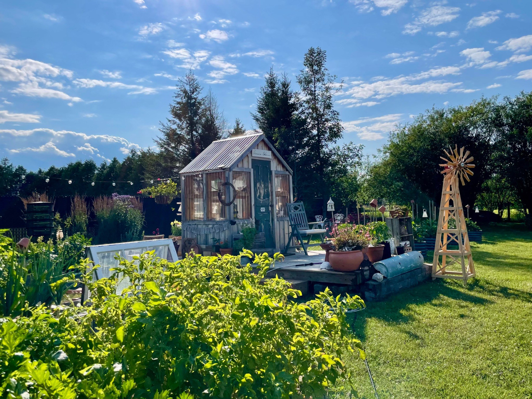 Christine's garden and greenhouse beneath a wide summer sky