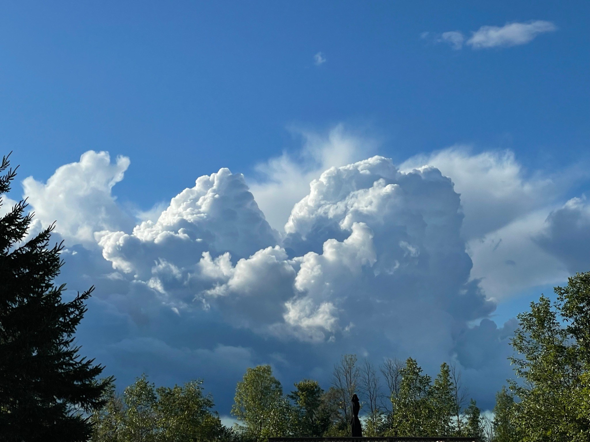Towering summer storm clouds over the garden