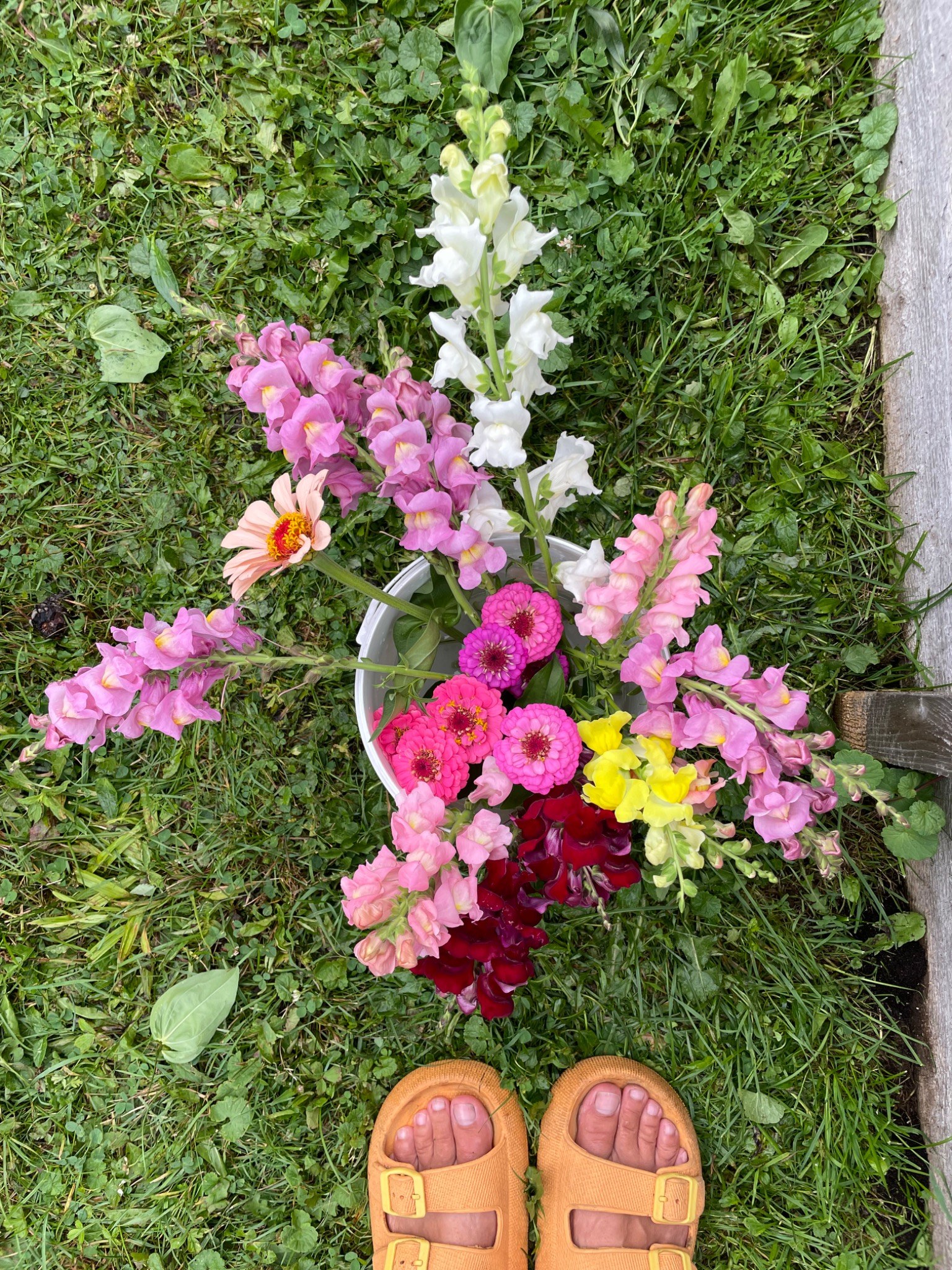 Freshly gathered flowers beside orange sandals